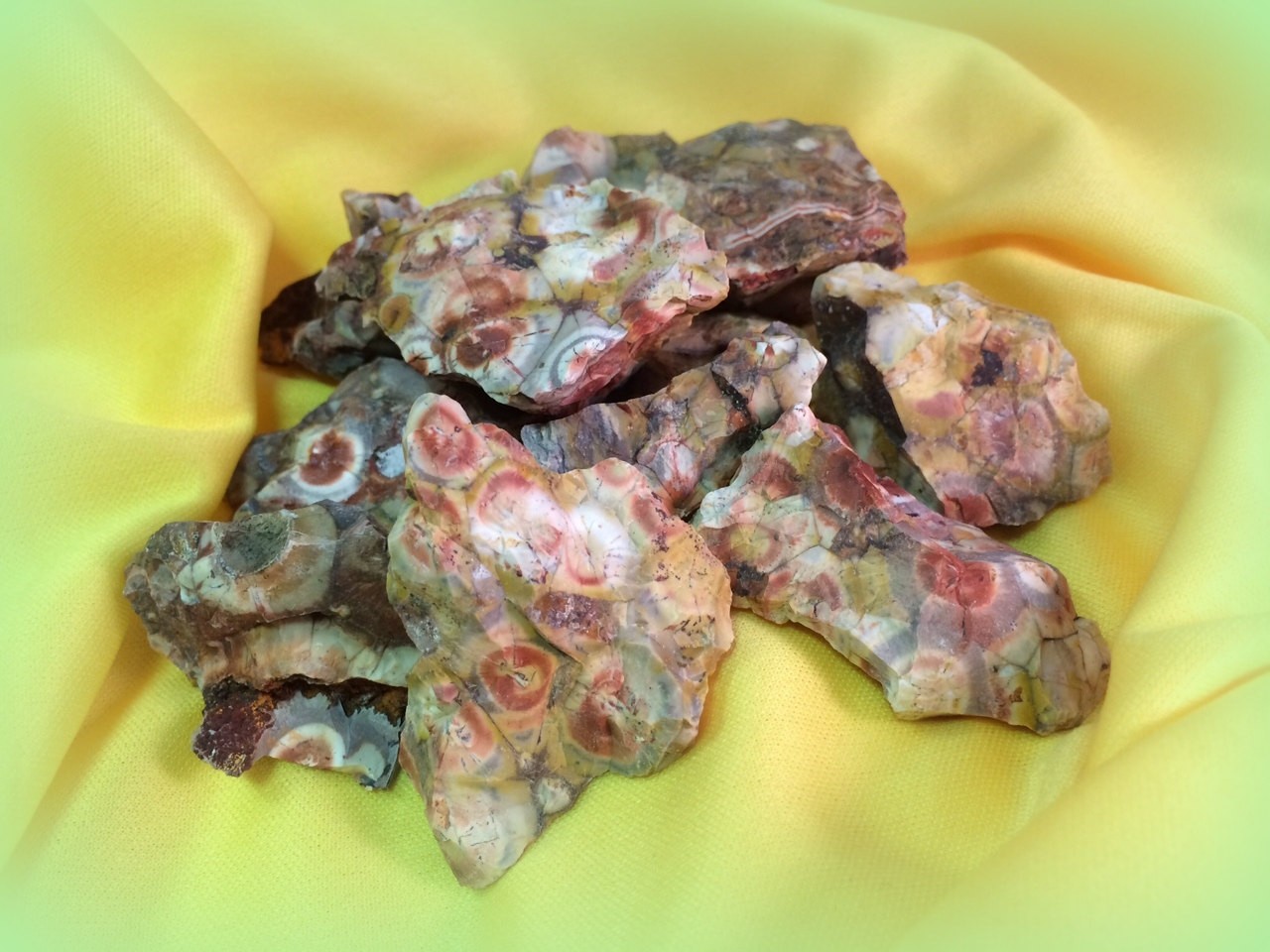 Medium Orbicular Jasper specimen pieces - Rare and highly prized medicine for happiness and radiant joy