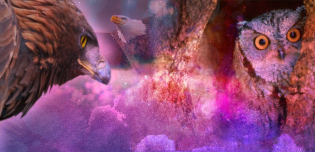 Animal Medicine Spotlight Spirit Creatures of the East