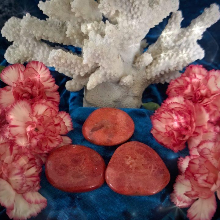 Vital_Passion_Red_Coral_Palm_Stone_1of3_1_21