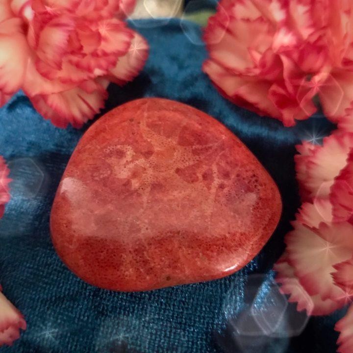 Vital_Passion_Red_Coral_Palm_Stone_2of3_1_21