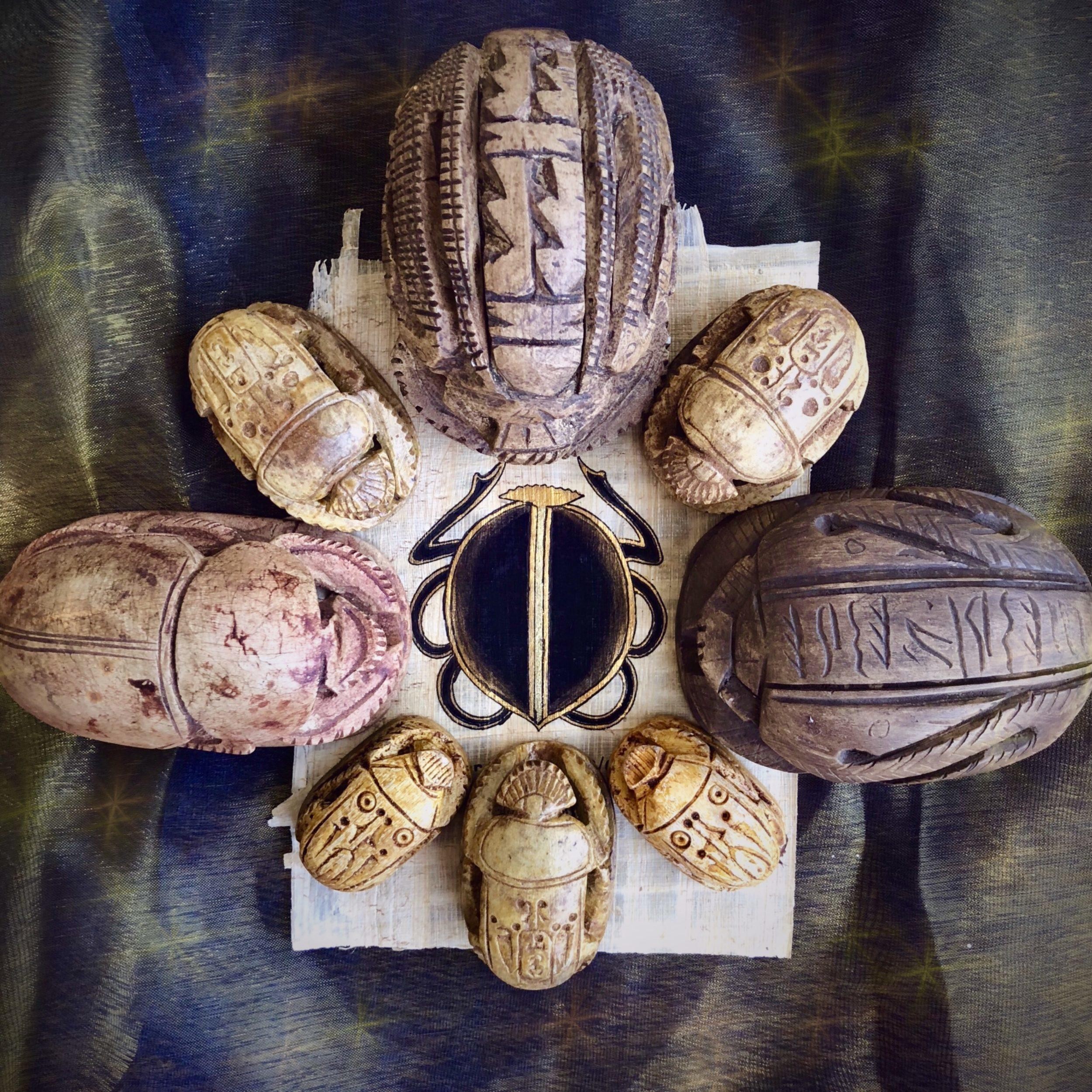 Egyptian Scarab Beetles for transformation and regeneration - Image 4