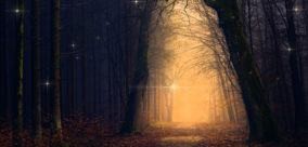 5 Lessons From the Shadow and its Importance During Samhain