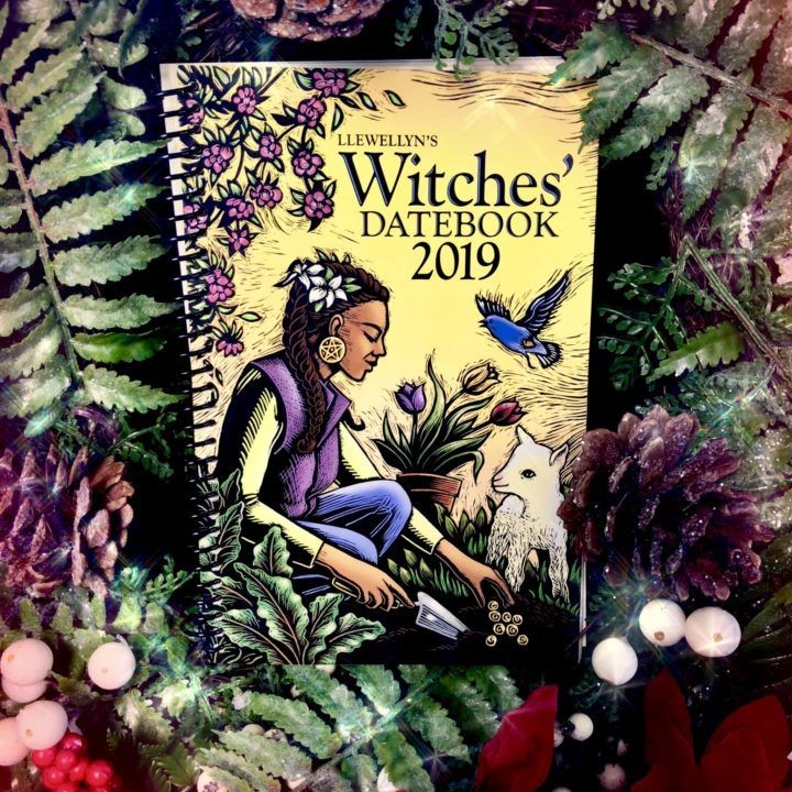 Llewellyn's_2019_Witches'_Datebook_1of3_11_22