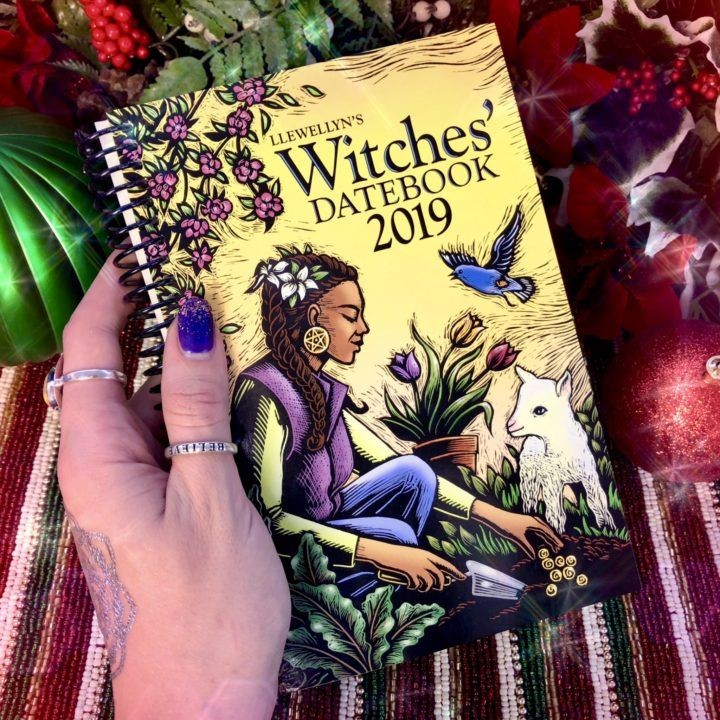 Llewellyn's_2019_Witches'_Datebook_3of3_11_22