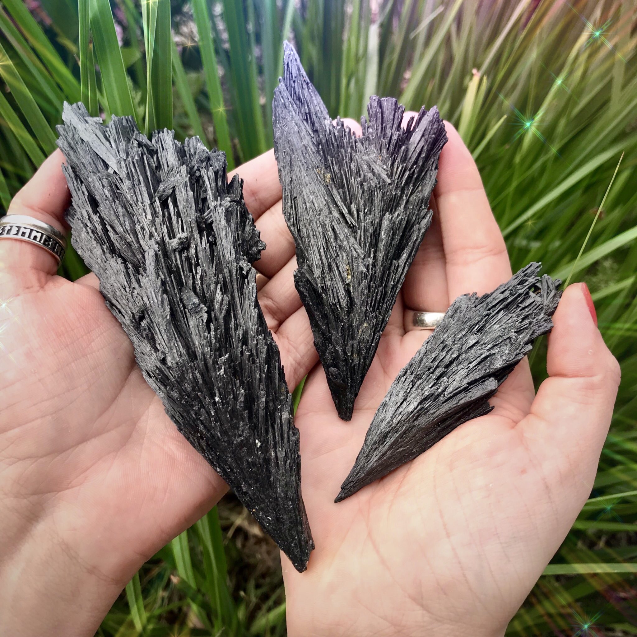 Large black kyanite blades for grounding, protection, and soul retrieval
