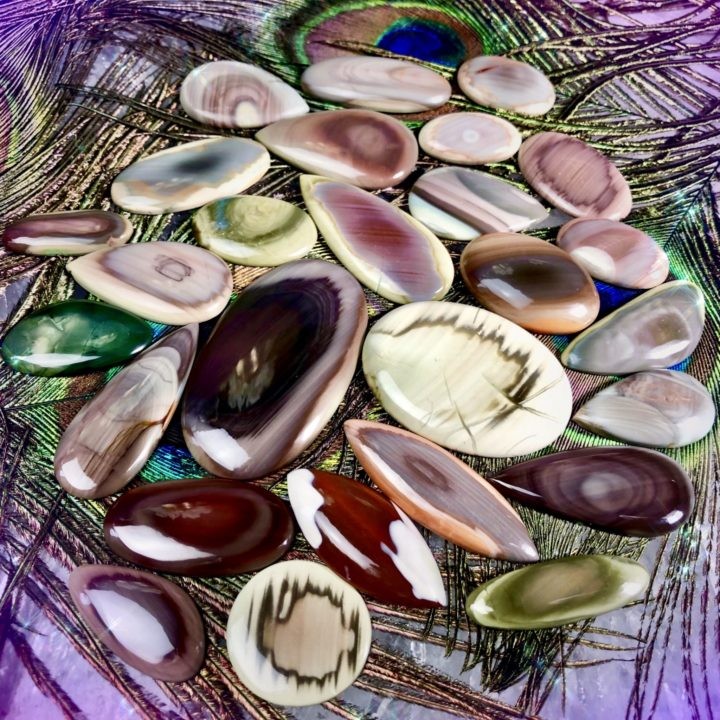 Imperial_Jasper_Cabochons_Wholesale_1of3
