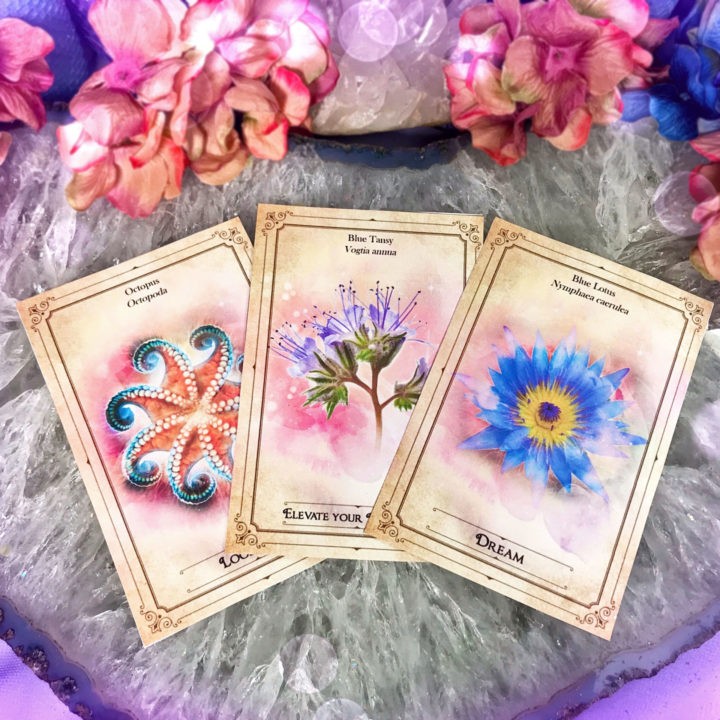 New Moon Enchanted Plant Wisdom: Blue Lotus and Blue Tansy Set