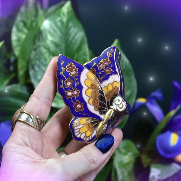 Butterfly Transformation Boxes