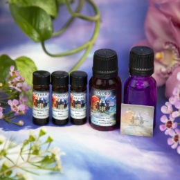 Soul Shift March Class Tools Journey to Higher Self Perfume Blending Set