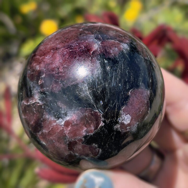 Arfvedsonite with Garnet Manifestation Sphere