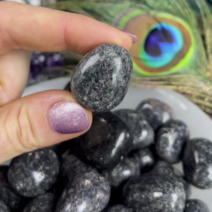 Small Tumbled Nuummite