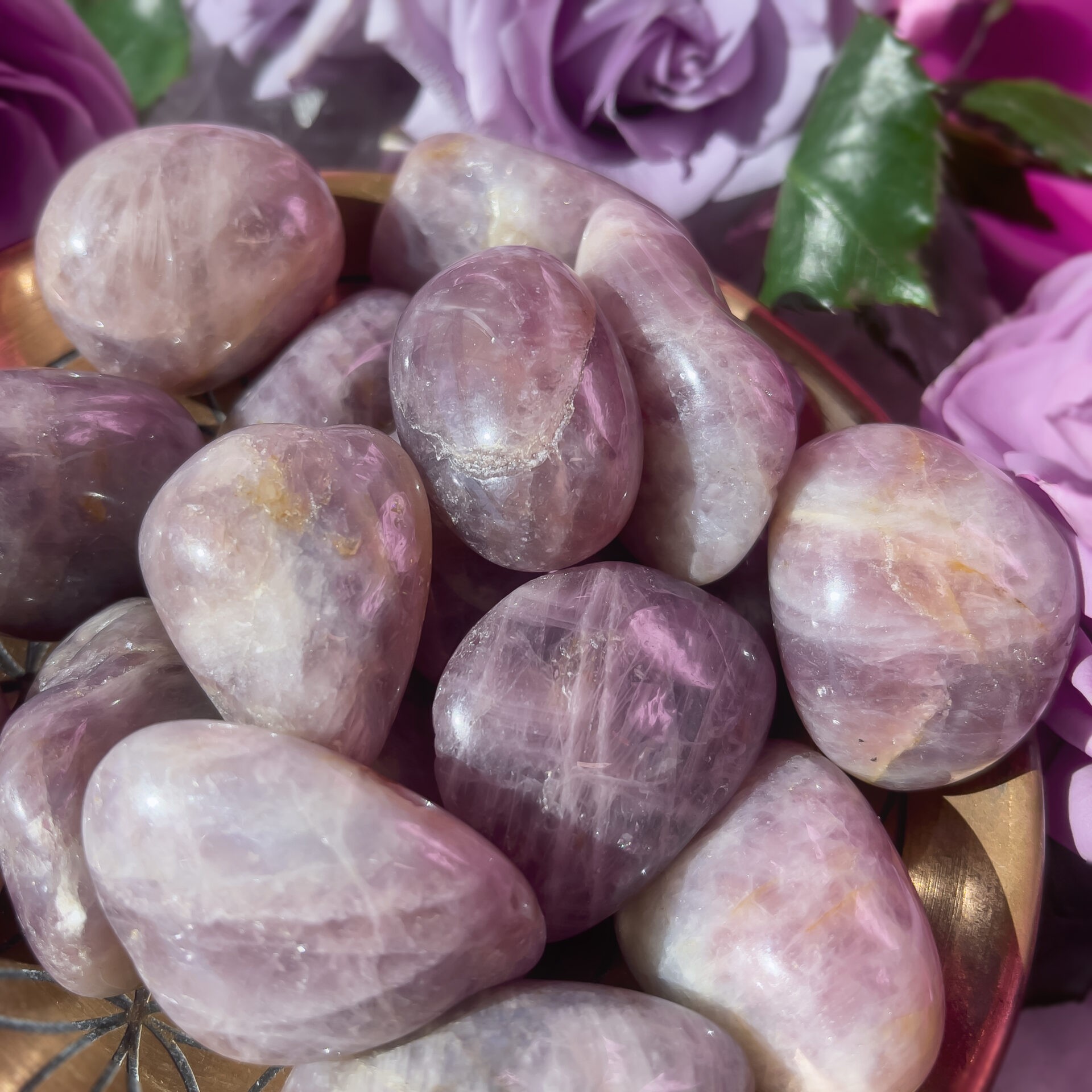 Sage Goddess Lavender Rose Quartz: Medium Tumbled