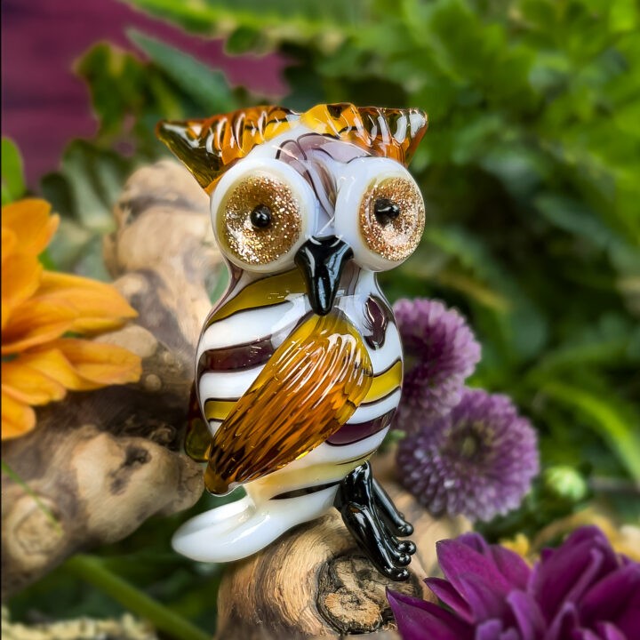 Wise Owl BeeBop