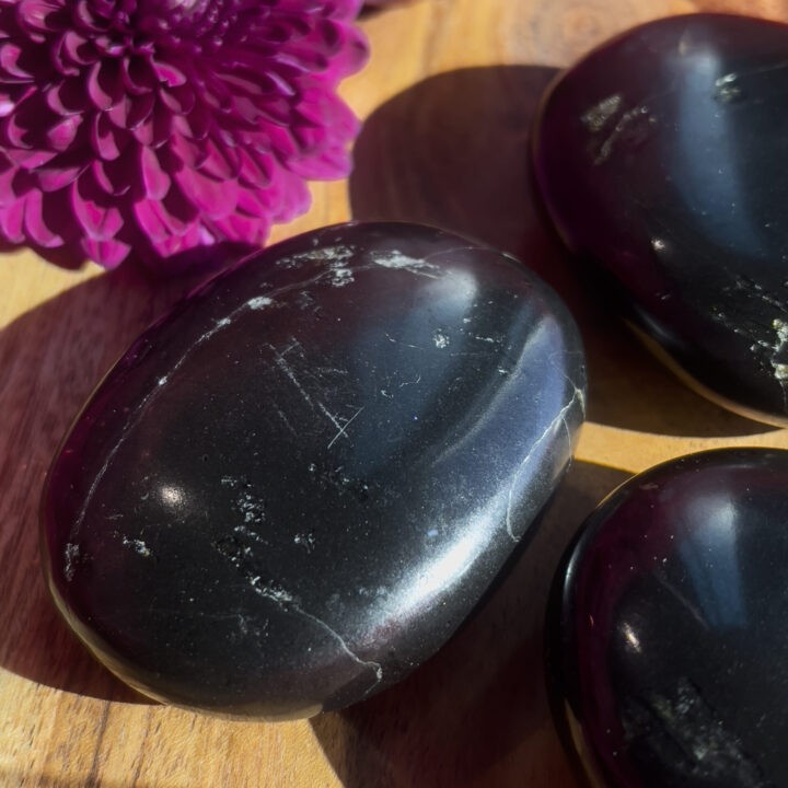 Black Tourmaline Protective Palm Stone