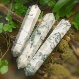 Deep Roots Tree Agate Double Terminated Wand
