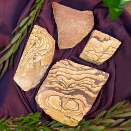 Vision Your Future Picture Jasper Charging Plate