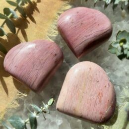 Gaias Love Pink Petrified Wood Heart