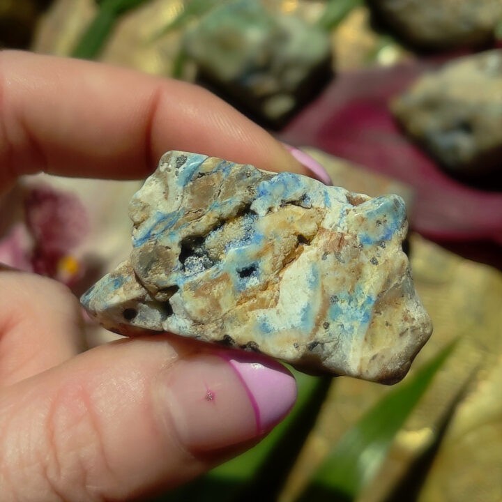 Tumbled Azurite and Chrysocolla in Petrified Wood