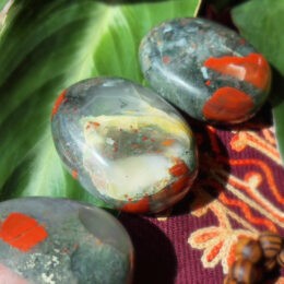 Heal and Relieve African Bloodstone Palm Stone