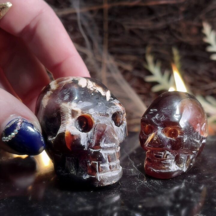 Empower and Protect Amber Skull