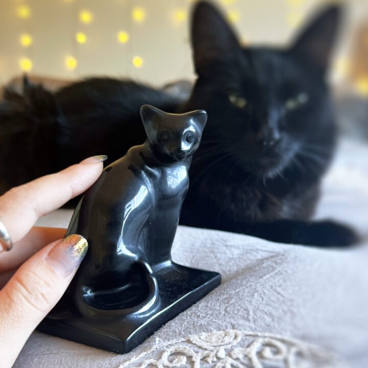 Mysterious Black Obsidian Cat