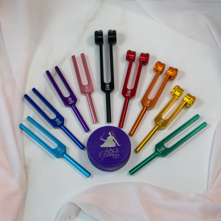 9 Chakra Tuning Fork Set with Carry Case