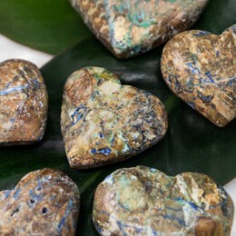 Ancient Priestess Azurite and Chrysocolla in Petrified Wood Heart
