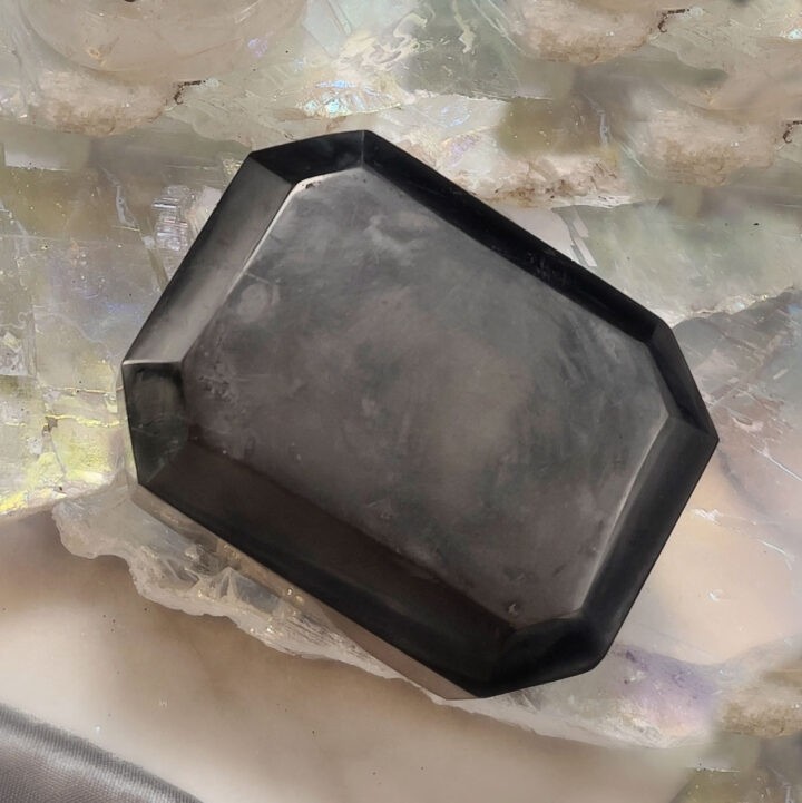Faceted Shungite Clearing Palm Stone