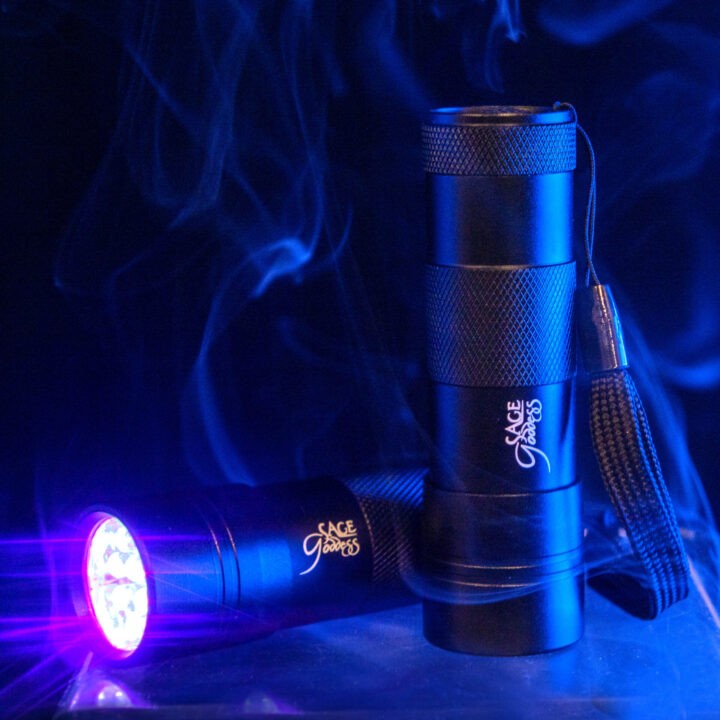 Black Light LED Flashlight