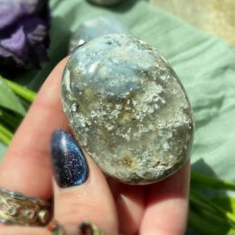 Dendritic Opal for Growth and Wisdom Palm Stone