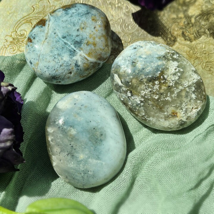 Dendritic Opal for Growth and Wisdom Palm Stone