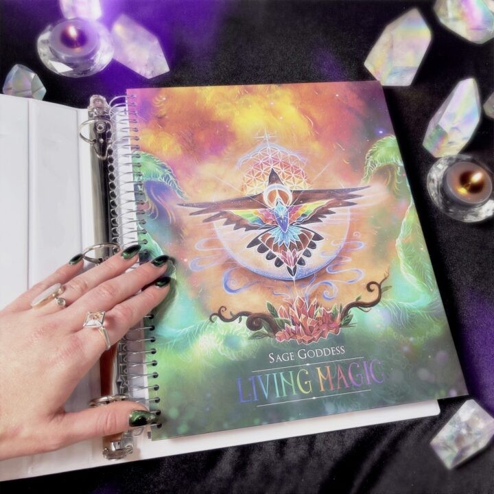 Living Magic Colibri Ring Binder and Notebook Duo