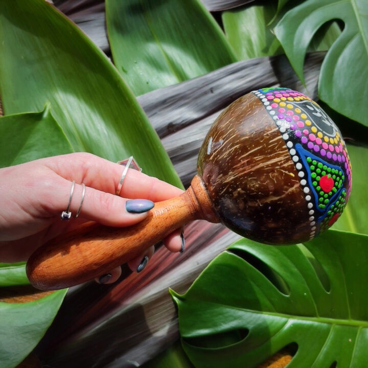 Hand Painted Coconut Rattle