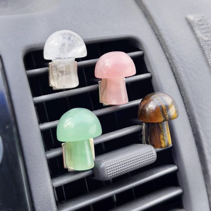 Intuitively Chosen Gemstone Mushroom Car Vent Clip