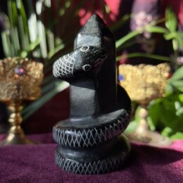Cleanse and Transform Snake Black Obsidian Generator