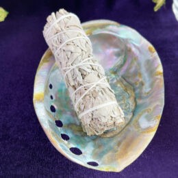 Abalone Shell with Mini White Sage Smudge Bundle Duo