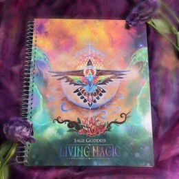Living Magic Colibri Notebook