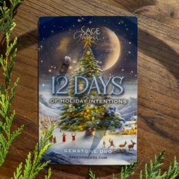 12 Days of Holiday Intentions Gemstone Duo for Intuition
