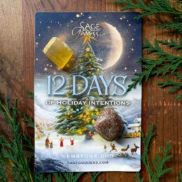 12 Days of Holiday Intentions Gemstone Duo for Wealth