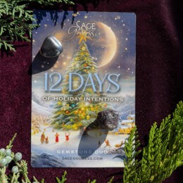 12 Days of Holiday Intentions Gemstone Duo for Grounding