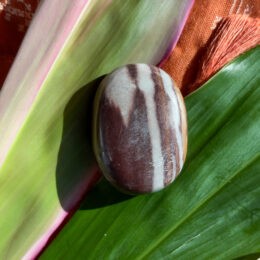 Shiva Lingam Palm Stone for Passion