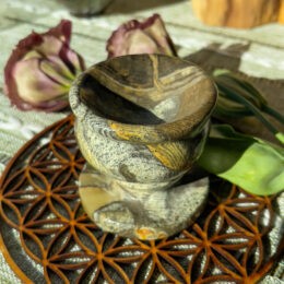 Stromatolite Bowl