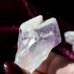 Sugar Capped Amethyst Root Crystal