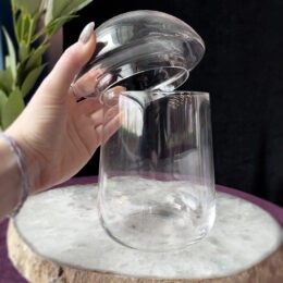Glass Mushroom Terrarium Jar