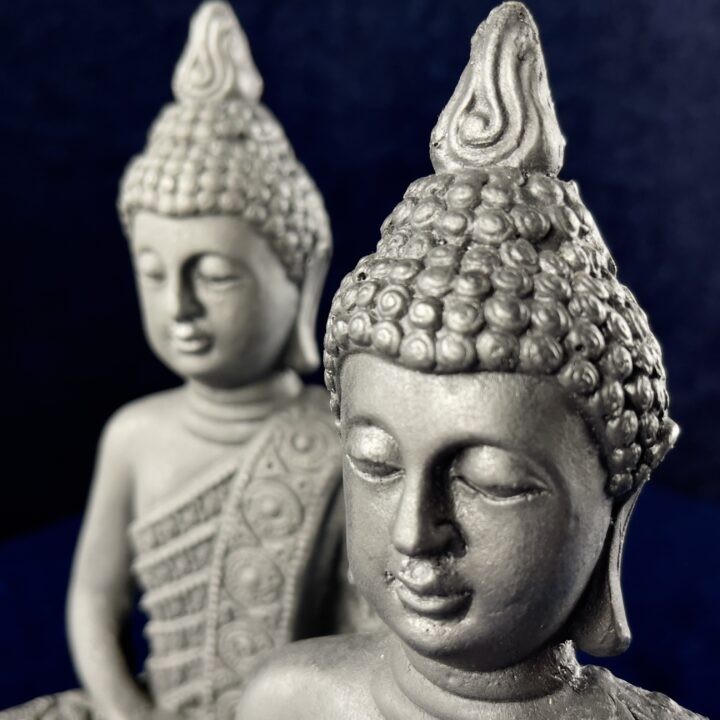 Shungite & Resin Buddha