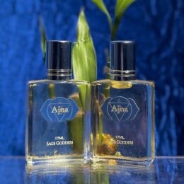 Two rectangular glass perfume bottles labeled “Ajna” stand side by side against a rich blue background, with a green plant stem rising between them and reflecting softly on the shiny surface below.