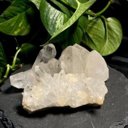 Quartz crystal cluster on black stone with foliage in the background